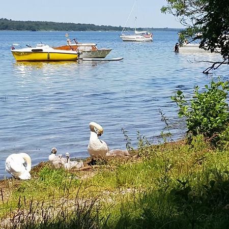 Ferienwohnung Am Schweriner See Raben Steinfeld Kültér fotó