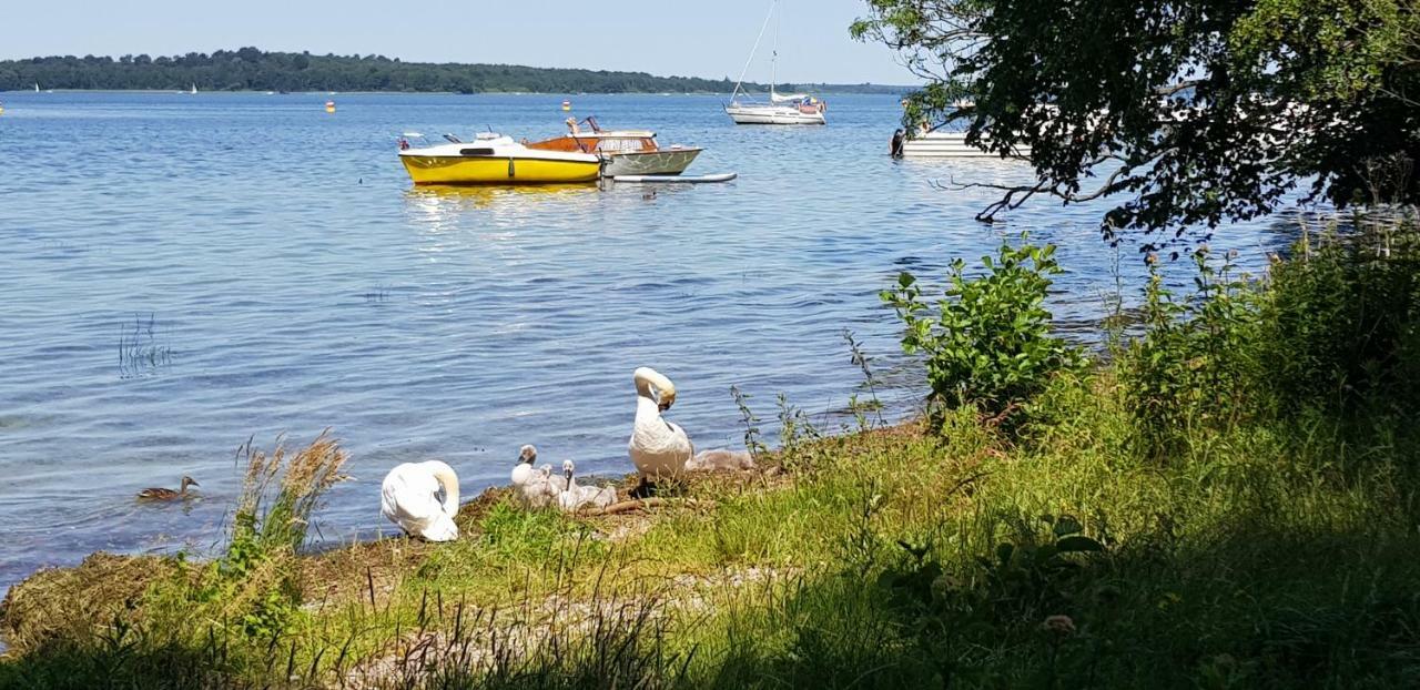 Ferienwohnung Am Schweriner See Raben Steinfeld Kültér fotó